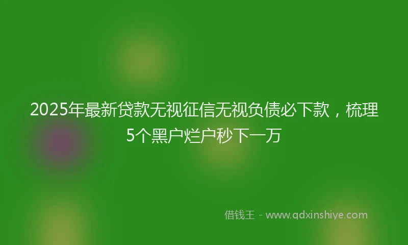 2025年最新贷款无视征信无视负债必下款，梳理5个黑户烂户秒下一万