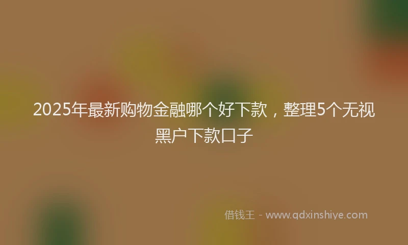 2025年最新购物金融哪个好下款，整理5个无视黑户下款口子