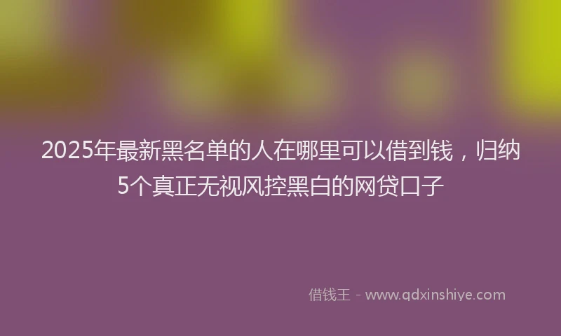 2025年最新黑名单的人在哪里可以借到钱，归纳5个真正无视风控黑白的网贷口子