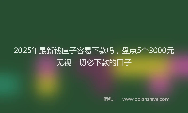 2025年最新钱匣子容易下款吗，盘点5个3000元无视一切必下款的口子
