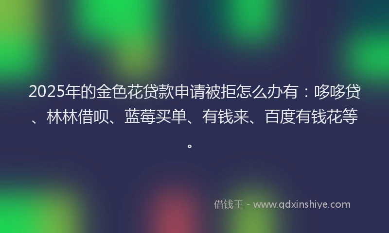 2025年的金色花贷款申请被拒怎么办有：哆哆贷、林林借呗、蓝莓买单、有钱来、百度有钱花等。
