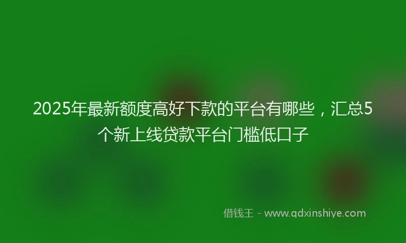 2025年最新额度高好下款的平台有哪些，汇总5个新上线贷款平台门槛低口子