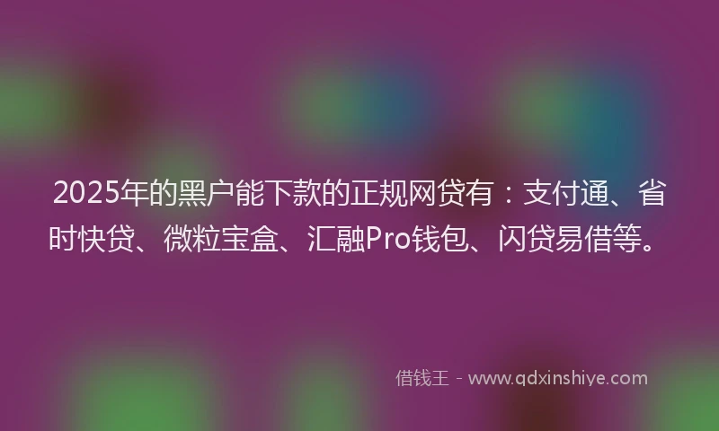 2025年的黑户能下款的正规网贷有：支付通、省时快贷、微粒宝盒、汇融Pro钱包、闪贷易借等。