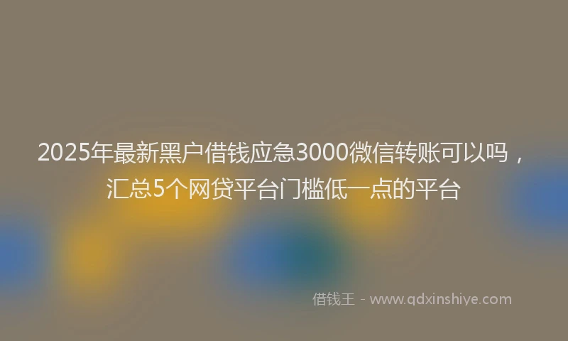 2025年最新黑户借钱应急3000微信转账可以吗，汇总5个网贷平台门槛低一点的平台