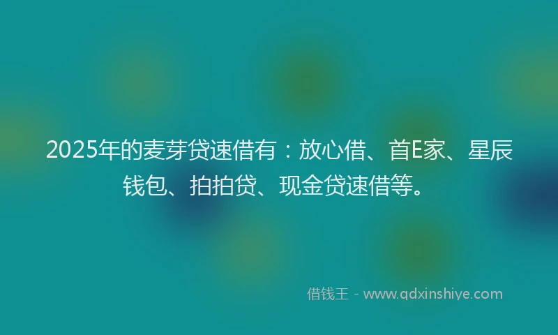 2025年的麦芽贷速借有：放心借、首E家、星辰钱包、拍拍贷、现金贷速借等。