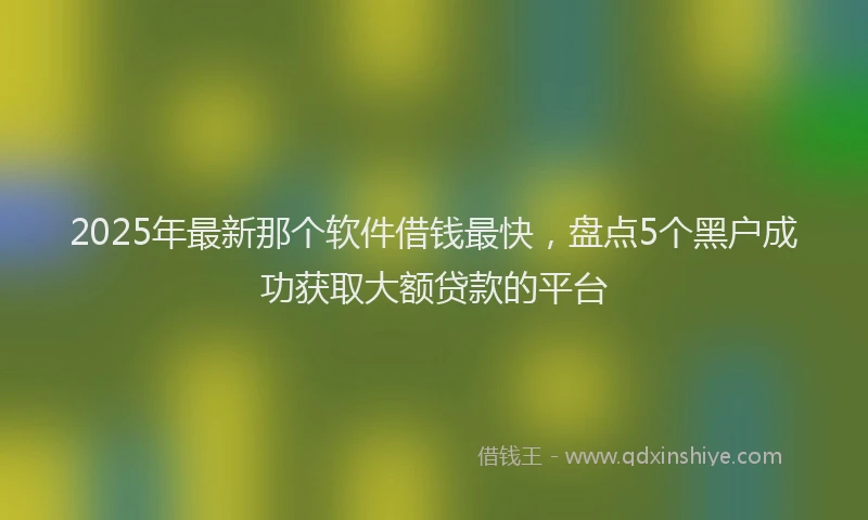 2025年最新那个软件借钱最快，盘点5个黑户成功获取大额贷款的平台