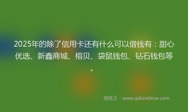 2025年的除了信用卡还有什么可以借钱有：甜心优选、新鑫商城、榕贝、袋鼠钱包、钻石钱包等。