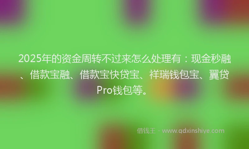 2025年的资金周转不过来怎么处理有：现金秒融、借款宝融、借款宝快贷宝、祥瑞钱包宝、翼贷Pro钱包等。