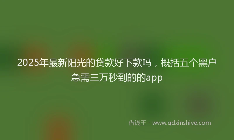 2025年最新阳光的贷款好下款吗，概括五个黑户急需三万秒到的的app