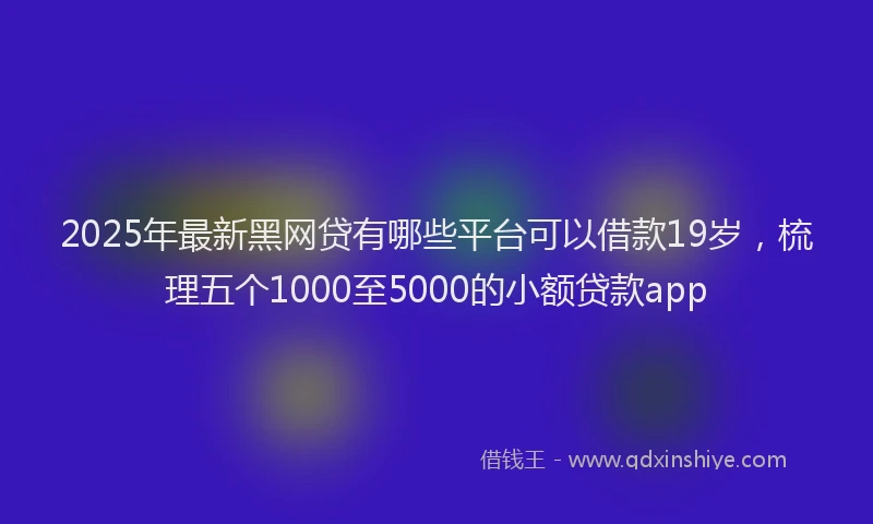 2025年最新黑网贷有哪些平台可以借款19岁，梳理五个1000至5000的小额贷款app