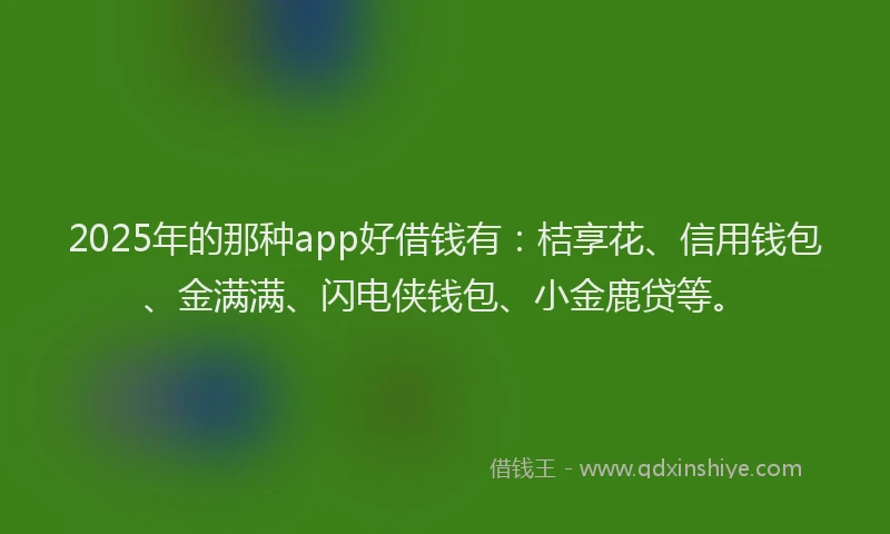 2025年的那种app好借钱有：桔享花、信用钱包、金满满、闪电侠钱包、小金鹿贷等。