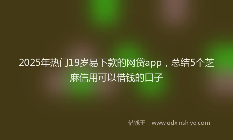 2025年热门19岁易下款的网贷app，总结5个芝麻信用可以借钱的口子