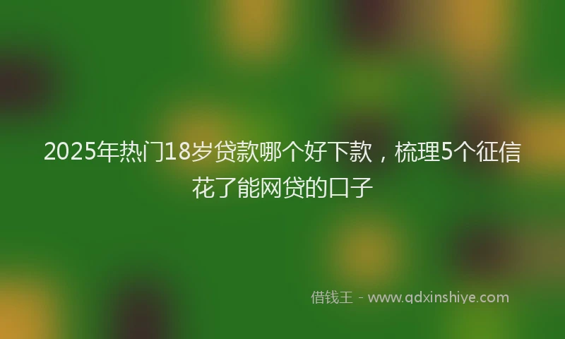 2025年热门18岁贷款哪个好下款，梳理5个征信花了能网贷的口子