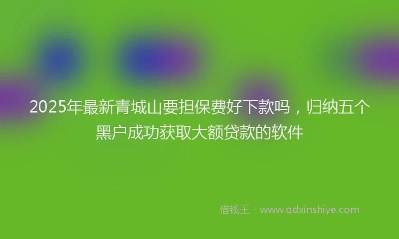 2025年最新青城山要担保费好下款吗，归纳五个黑户成功获取大额贷款的软件