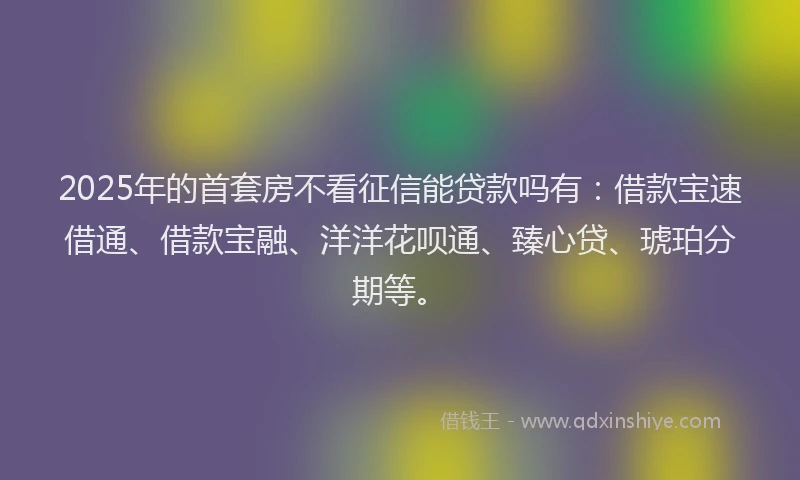 2025年的首套房不看征信能贷款吗有：借款宝速借通、借款宝融、洋洋花呗通、臻心贷、琥珀分期等。