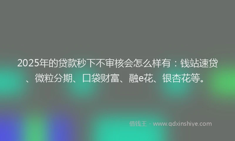 2025年的贷款秒下不审核会怎么样有：钱站速贷、微粒分期、口袋财富、融e花、银杏花等。