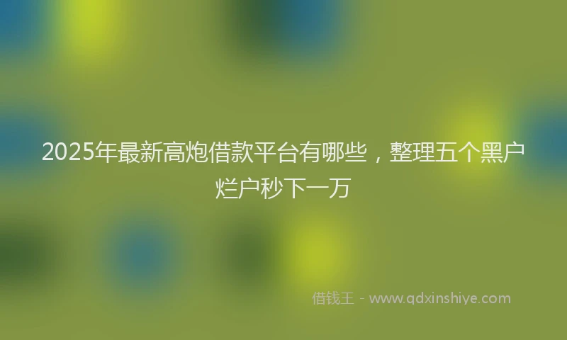 2025年最新高炮借款平台有哪些，整理五个黑户烂户秒下一万