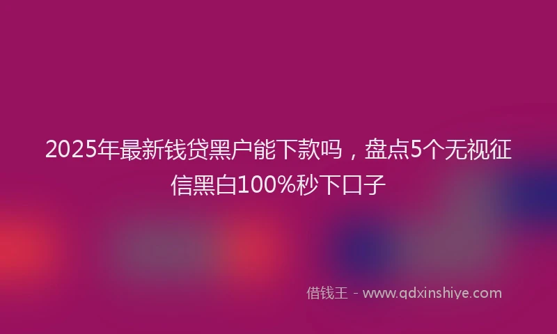 2025年最新钱贷黑户能下款吗，盘点5个无视征信黑白100%秒下口子