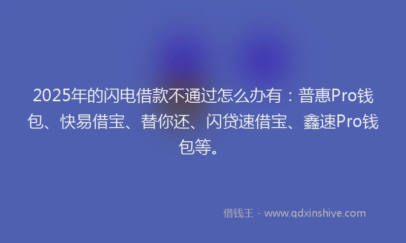 2025年的闪电借款不通过怎么办有：普惠Pro钱包、快易借宝、替你还、闪贷速借宝、鑫速Pro钱包等。