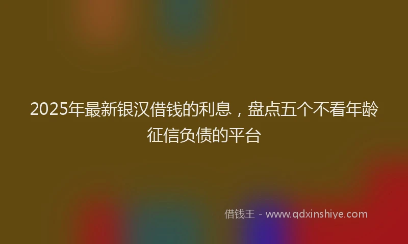2025年最新银汉借钱的利息，盘点五个不看年龄征信负债的平台