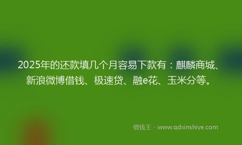 2025年的还款填几个月容易下款有:麒麟商城、新浪微博借钱、极速贷、融e花、玉米分等。