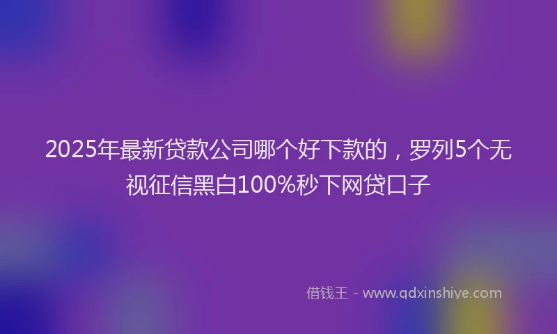 2025年最新贷款公司哪个好下款的，罗列5个无视征信黑白100%秒下网贷口子