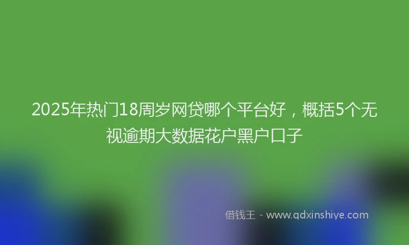 2025年热门18周岁网贷哪个平台好，概括5个无视逾期大数据花户黑户口子