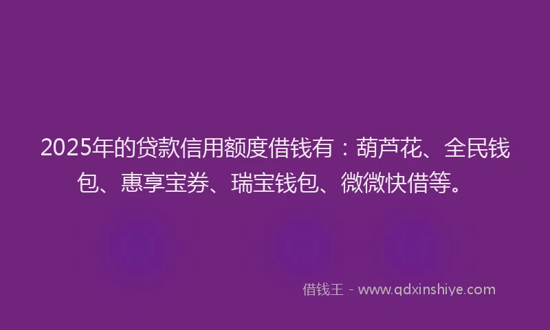 2025年的贷款信用额度借钱有：葫芦花、全民钱包、惠享宝券、瑞宝钱包、微微快借等。