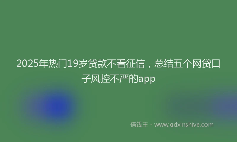 2025年热门19岁贷款不看征信，总结五个网贷口子风控不严的app