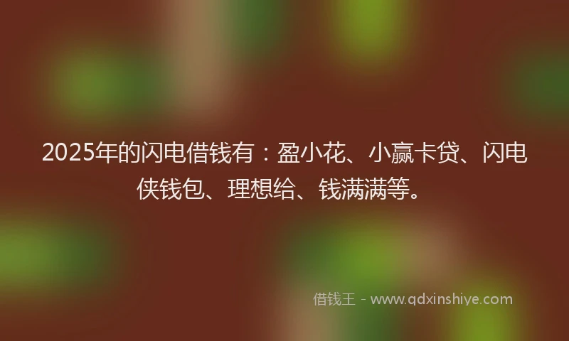 2025年的闪电借钱有：盈小花、小赢卡贷、闪电侠钱包、理想给、钱满满等。