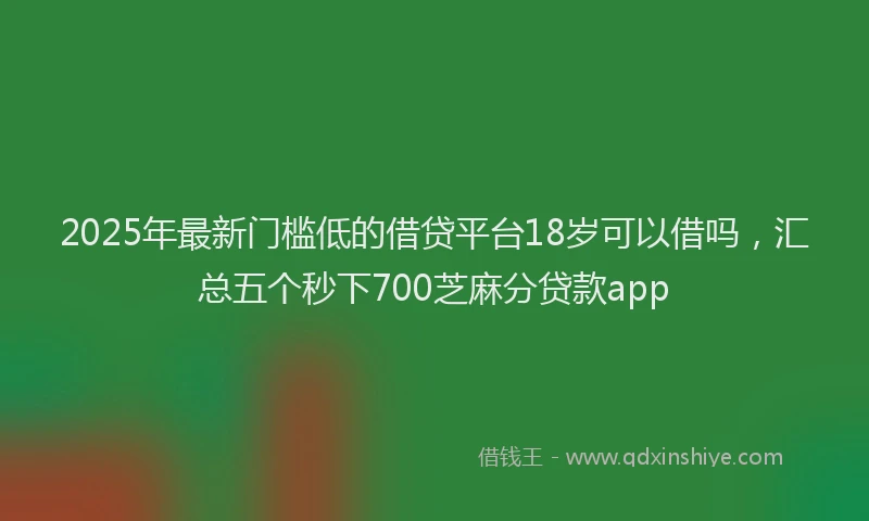 2025年最新门槛低的借贷平台18岁可以借吗，汇总五个秒下700芝麻分贷款app