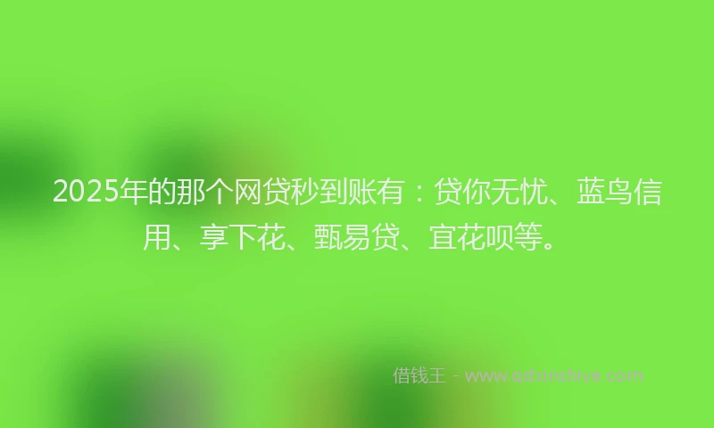2025年的那个网贷秒到账有：贷你无忧、蓝鸟信用、享下花、甄易贷、宜花呗等。