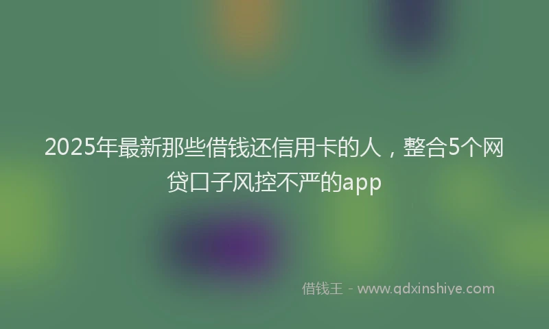 2025年最新那些借钱还信用卡的人，整合5个网贷口子风控不严的app