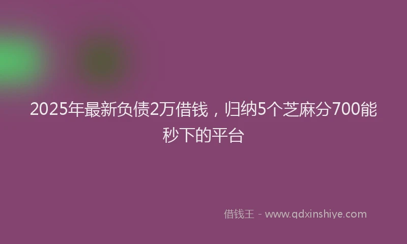 2025年最新负债2万借钱，归纳5个芝麻分700能秒下的平台