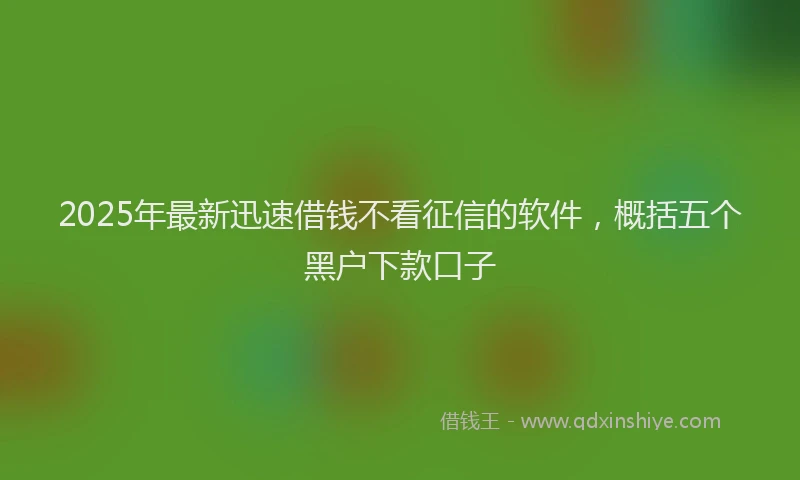 2025年最新迅速借钱不看征信的软件，概括五个黑户下款口子