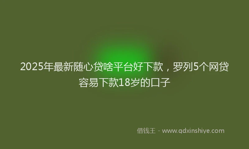 2025年最新随心贷啥平台好下款，罗列5个网贷容易下款18岁的口子