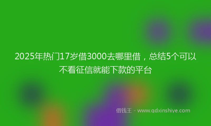 2025年热门17岁借3000去哪里借，总结5个可以不看征信就能下款的平台