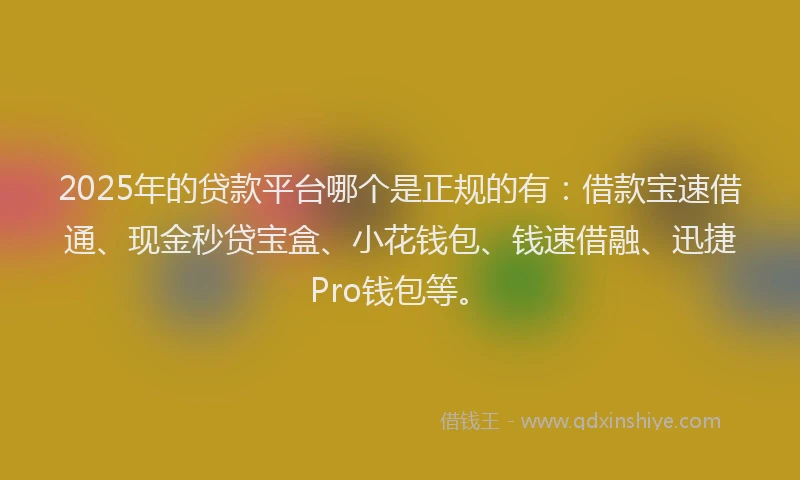 2025年的贷款平台哪个是正规的有：借款宝速借通、现金秒贷宝盒、小花钱包、钱速借融、迅捷Pro钱包等。