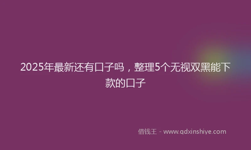 2025年最新还有口子吗，整理5个无视双黑能下款的口子