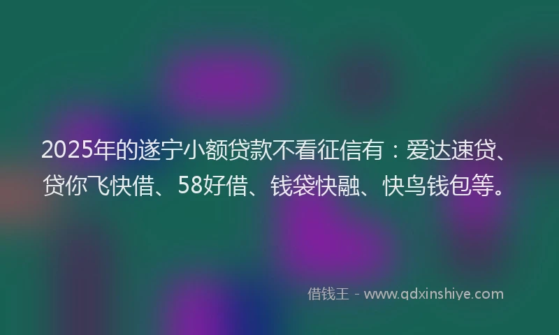 2025年的遂宁小额贷款不看征信有：爱达速贷、贷你飞快借、58好借、钱袋快融、快鸟钱包等。
