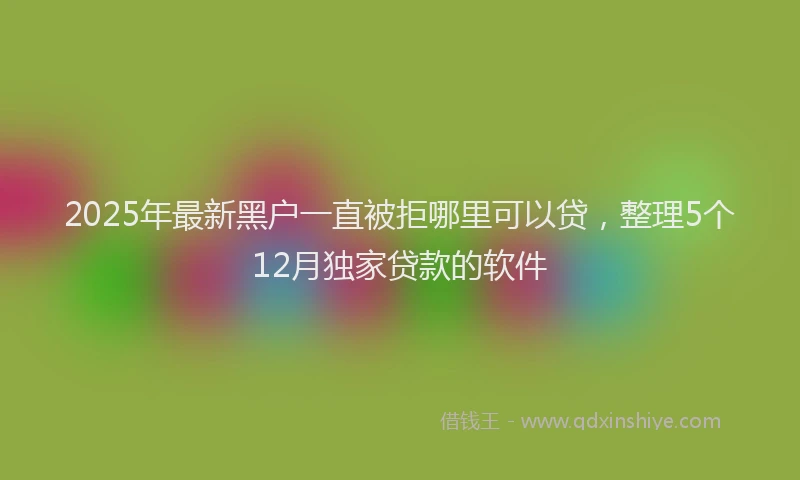 2025年最新黑户一直被拒哪里可以贷，整理5个12月独家贷款的软件