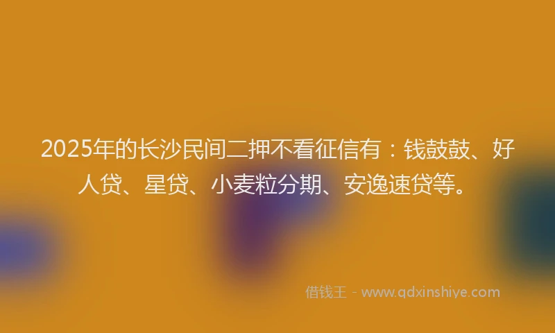 2025年的长沙民间二押不看征信有：钱鼓鼓、好人贷、星贷、小麦粒分期、安逸速贷等。