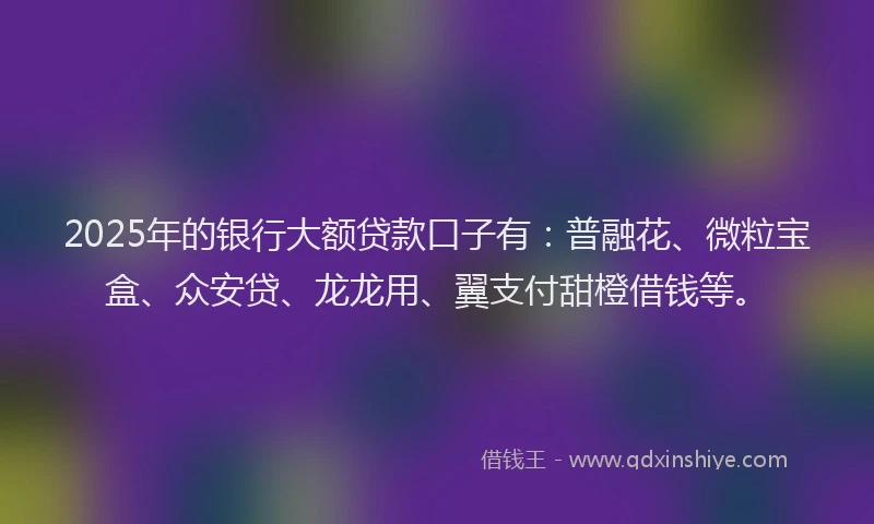 2025年的银行大额贷款口子有：普融花、微粒宝盒、众安贷、龙龙用、翼支付甜橙借钱等。
