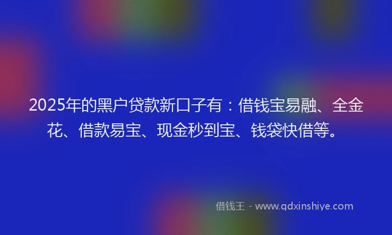 2025年的黑户贷款新口子有：借钱宝易融、全金花、借款易宝、现金秒到宝、钱袋快借等。