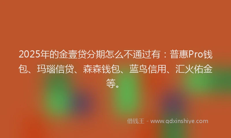 2025年的金壹贷分期怎么不通过有：普惠Pro钱包、玛瑙信贷、森森钱包、蓝鸟信用、汇火佑金等。