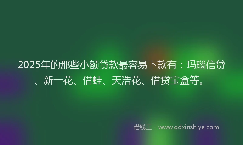 2025年的那些小额贷款最容易下款有：玛瑙信贷、新一花、借蛙、天浩花、借贷宝盒等。