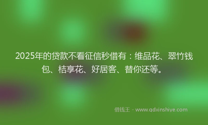 2025年的贷款不看征信秒借有：维品花、翠竹钱包、桔享花、好居客、替你还等。