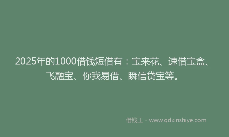 2025年的1000借钱短借有：宝来花、速借宝盒、飞融宝、你我易借、瞬信贷宝等。