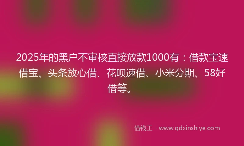 2025年的黑户不审核直接放款1000有：借款宝速借宝、头条放心借、花呗速借、小米分期、58好借等。