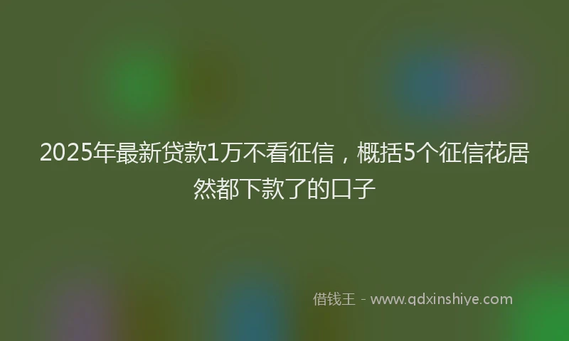 2025年最新贷款1万不看征信，概括5个征信花居然都下款了的口子